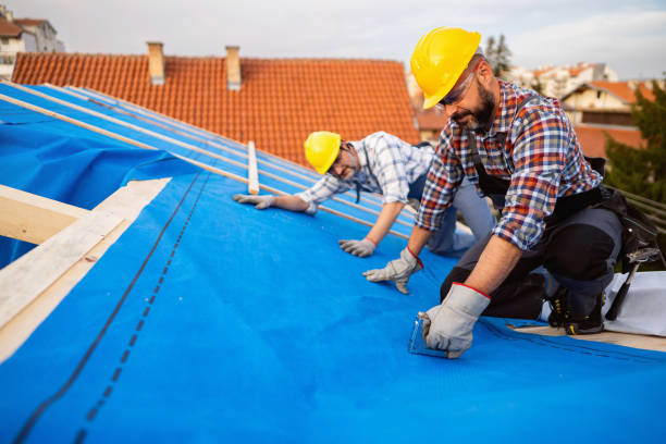Best Commercial Roofing Services  in Island Lake, IL