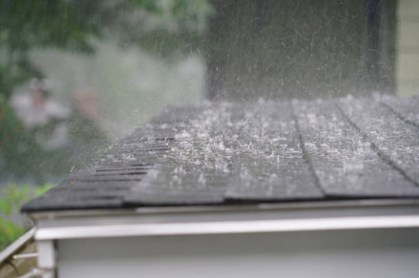 Best Roof Installation  in Island Lake, IL