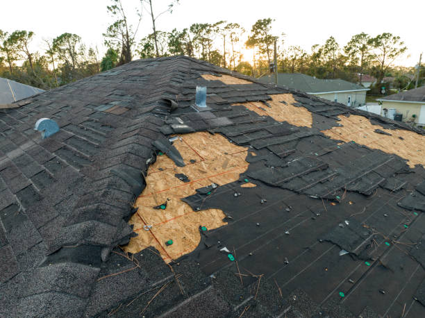 Best Asphalt Shingles Roofing  in Island Lake, IL